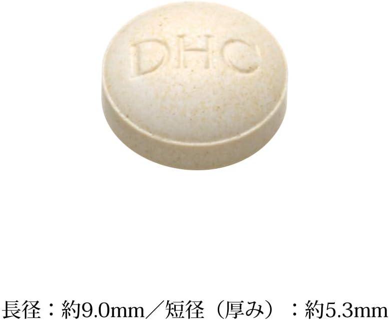 DHC 體脂肪管理內脂丸 20日分 (40粒)