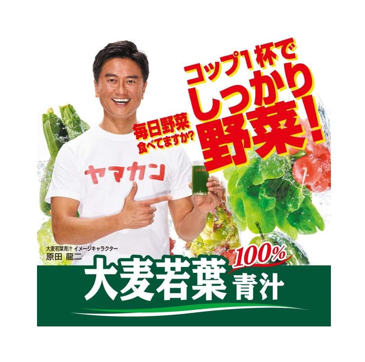 山本漢方 青汁 大麥若葉粉末100% 無添加 88包