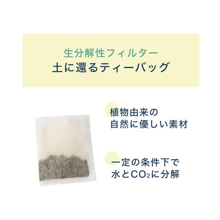 伊藤園 茉莉花茶 100包