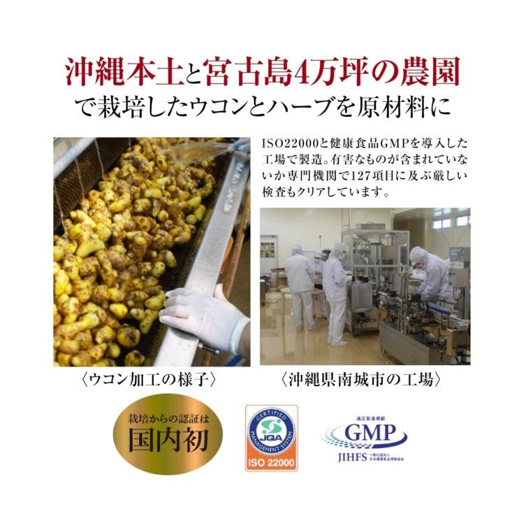 酒豪傳說 琉球 薑黃錠