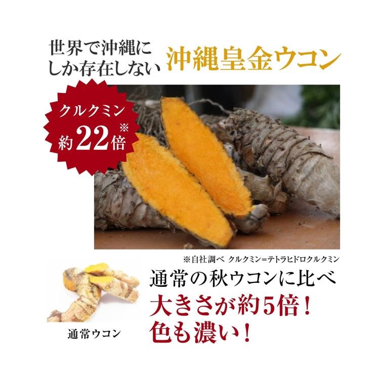 酒豪傳說 琉球 薑黃錠