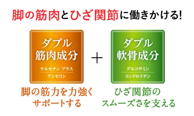 SUNTORY 三得利 樂可步 2024新版