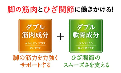 SUNTORY 三得利 樂可步 2024新版