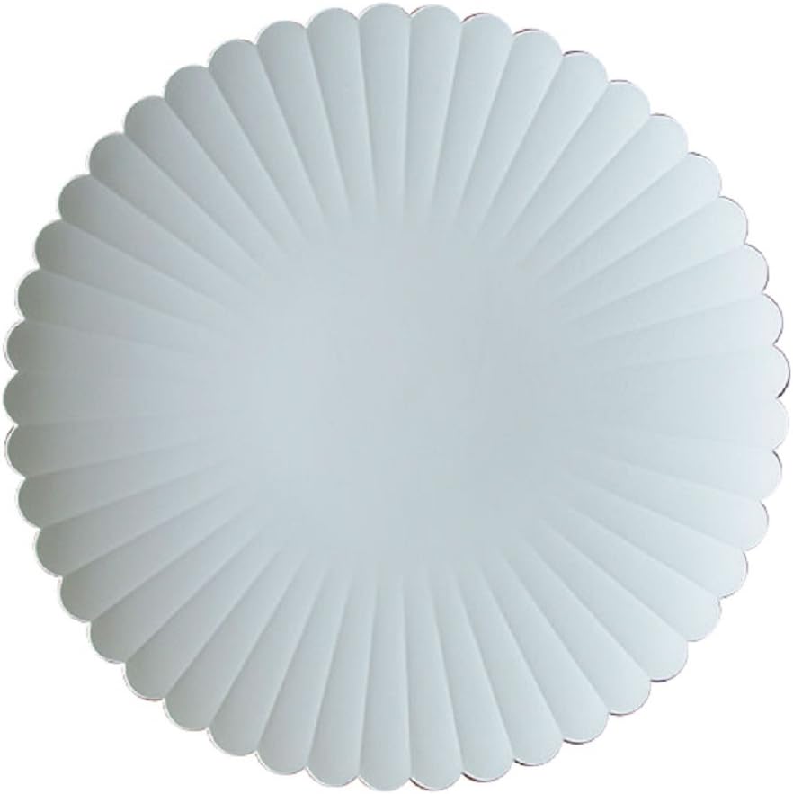 有田燒 TY Palace 220 大盤 22cm 霧灰｜日本製設計餐盤