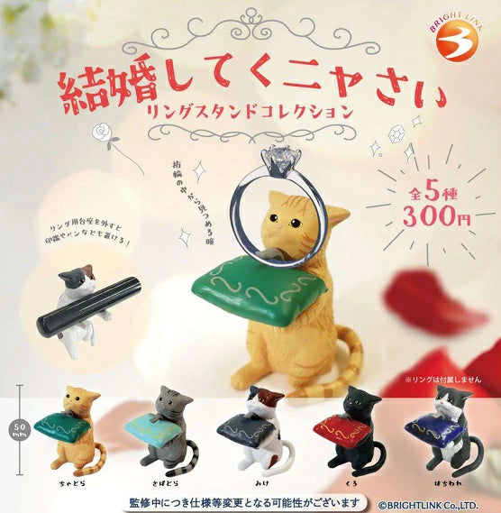 **非請勿下**【結婚してくにゃさい】にゃんこリングスタンドコレクション