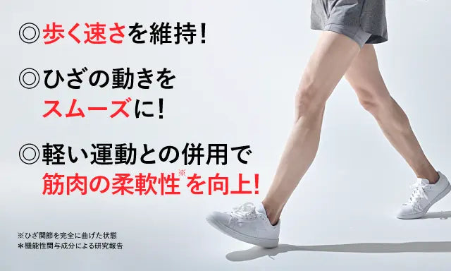 SUNTORY 三得利 樂可步 2024新版