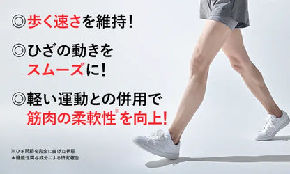 SUNTORY 三得利 樂可步 2024新版