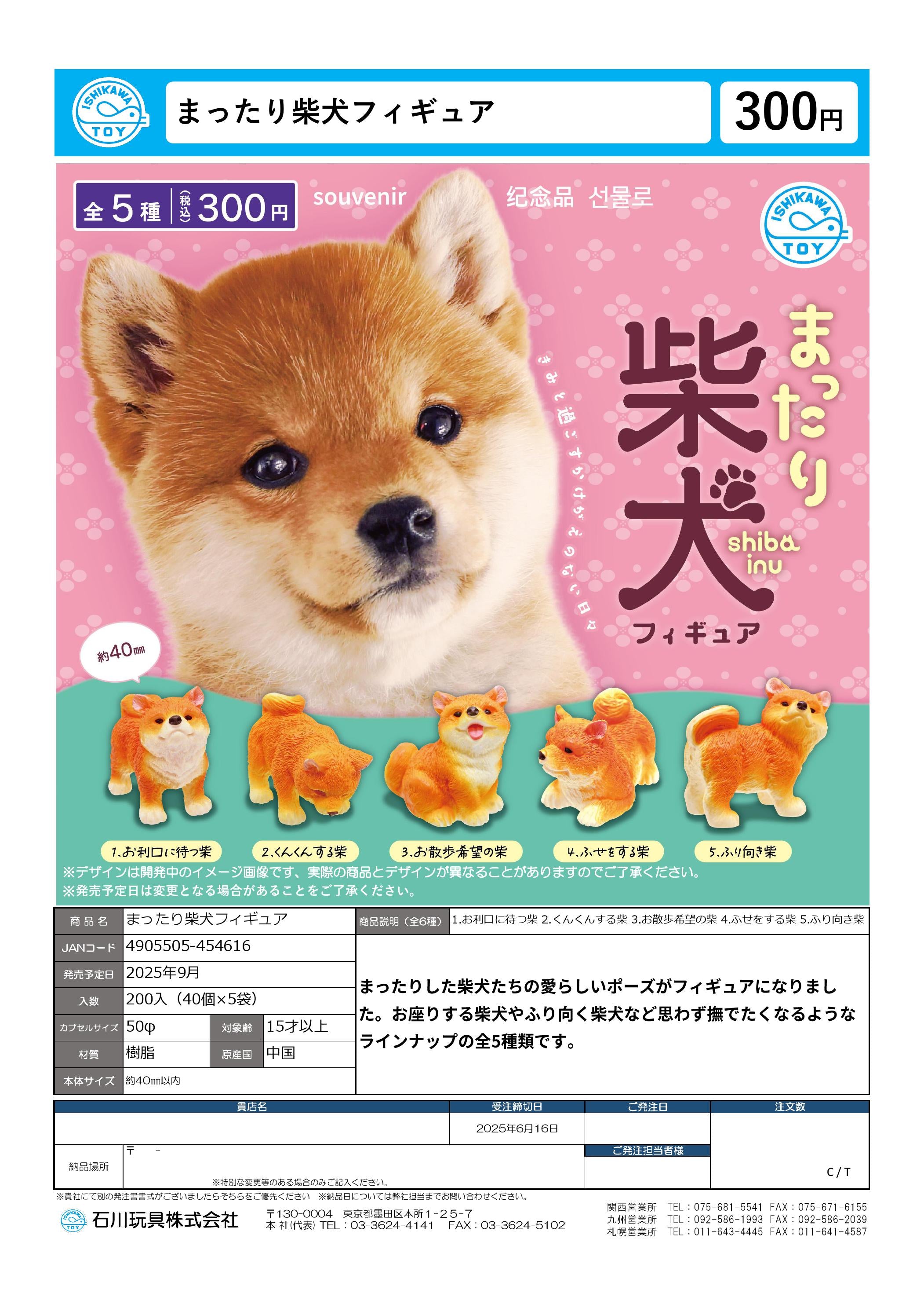 **９月予約販売＊＊ガチャガチャ