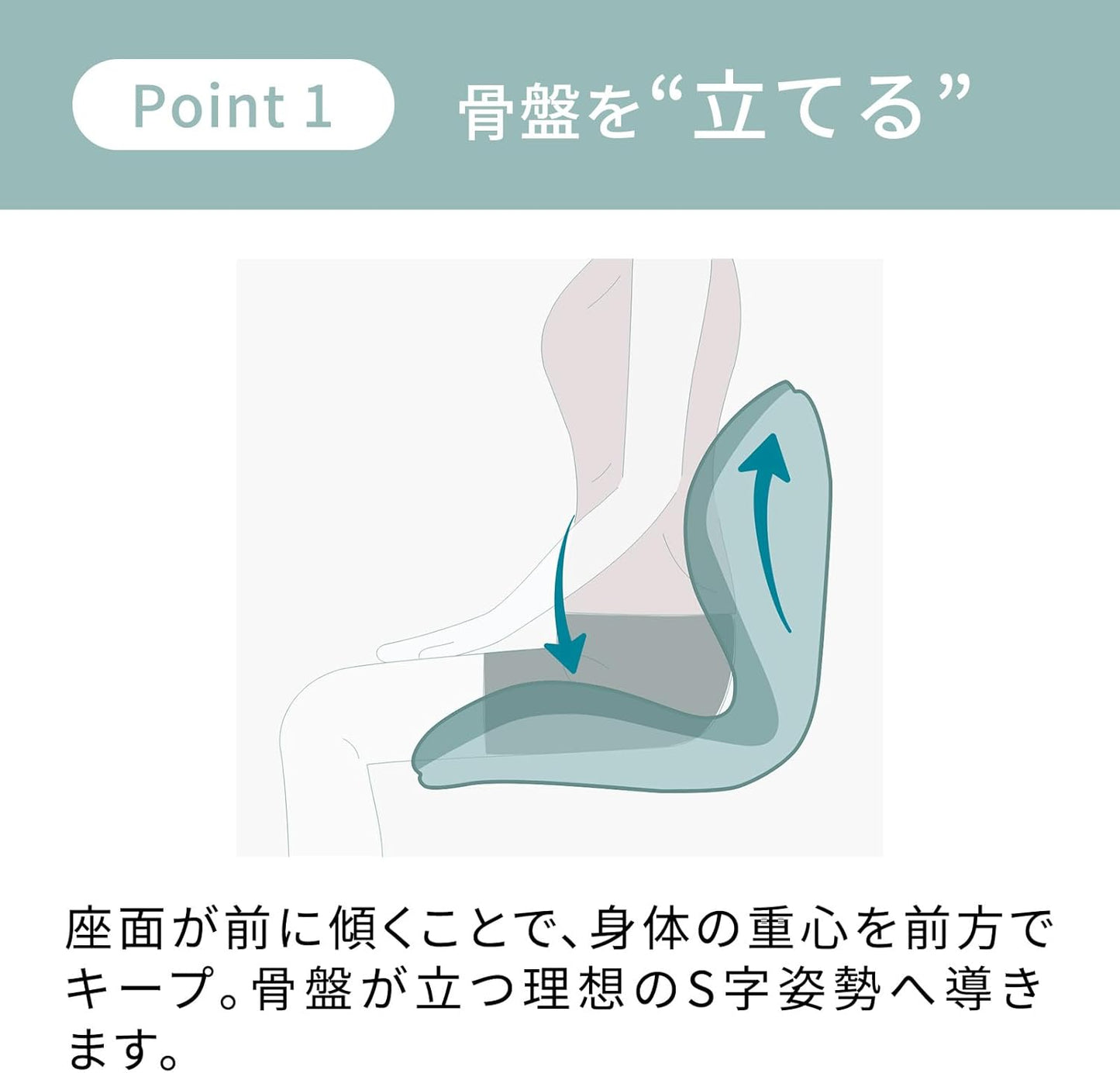 MTG Style PREMIUM 系列 骨盆支撐坐墊 日本製 人體工學 坐姿輔助
