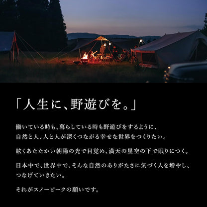 Snow Peak 露營椅 Low Chair 30 LV-091BR（棕色）｜日本製 折疊露營椅