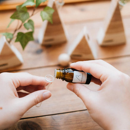 HARIO 木製香氛擴香器 M｜日本製實木擴香擺件｜無火無電居家香氛