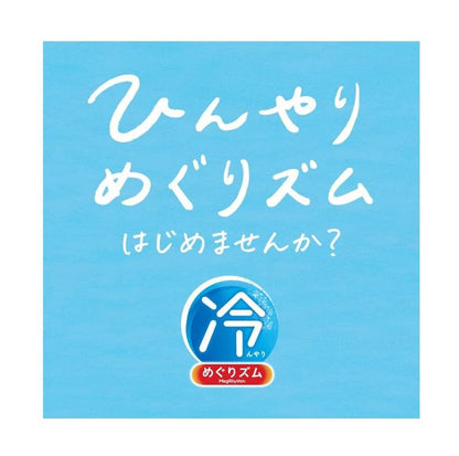 KAO 花王 涼感眼罩 4枚入