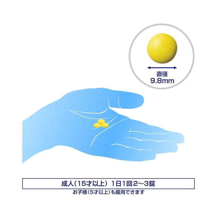 26年4月 【SS製藥】愛斯飛特 糖衣錠 SFIGHT GOLD DX 270錠[第3類醫藥品]