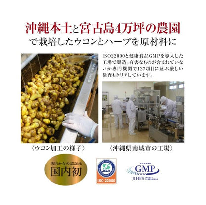 酒豪傳說 琉球 薑黃錠