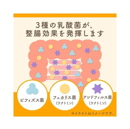 Asahi 朝日 EBIOS 乳酸菌 整腸錠 （504錠  ）