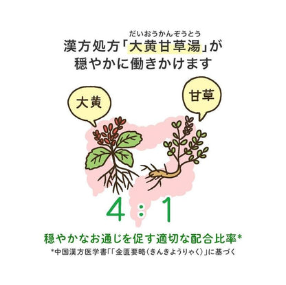 【第2類医薬品】合利他命製薬 大地的漢方 便秘薬
