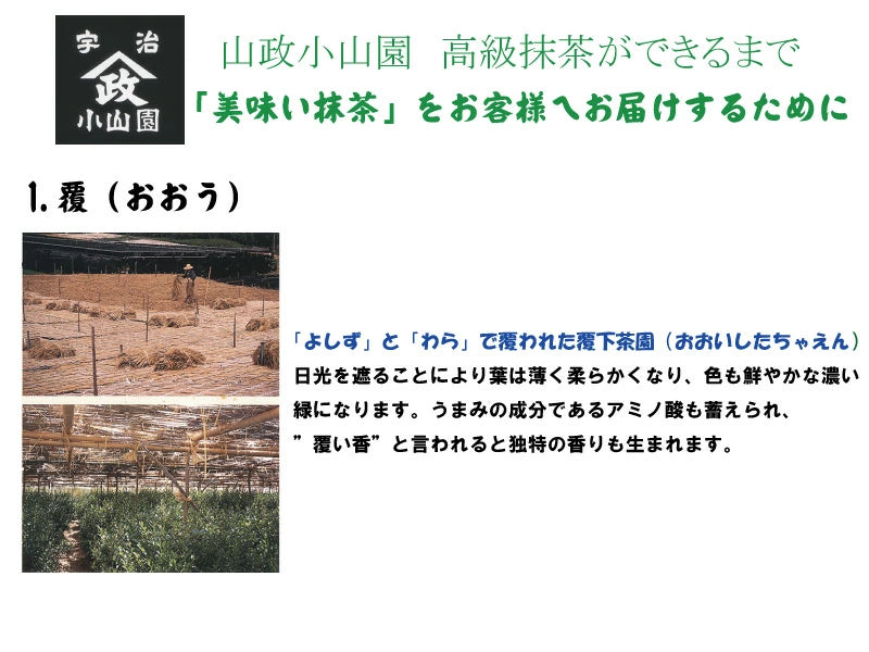 京都宇治抹茶 小倉山 30g｜山政小山園 日本製抹茶粉